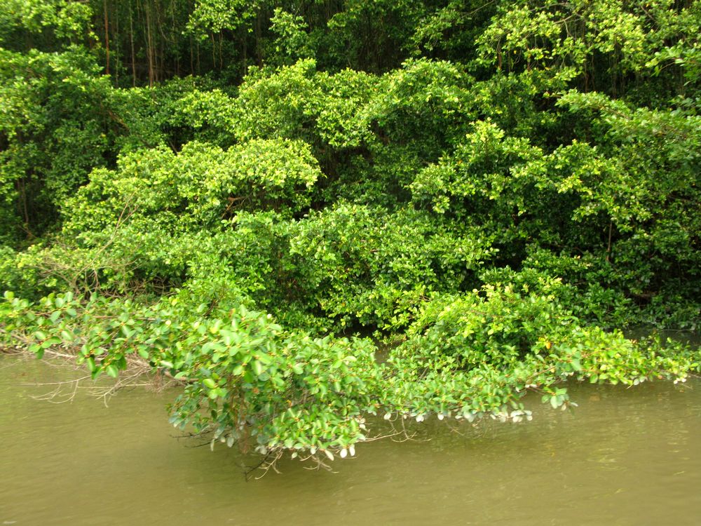IMG_4327.jpg