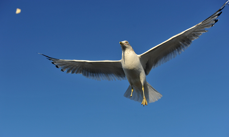 DSC_0275.jpg