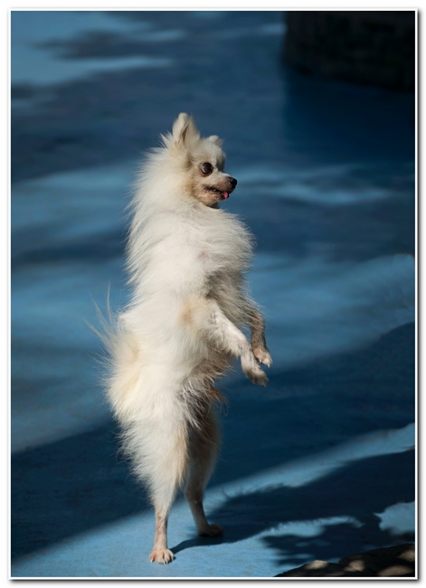 DSC_01291.jpg