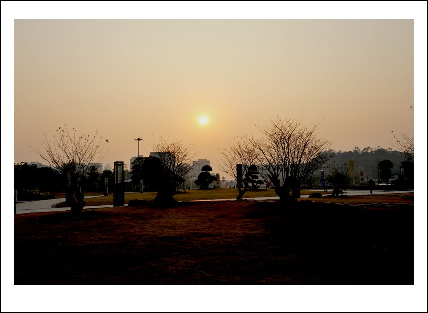 DSC_8514_conew1.jpg