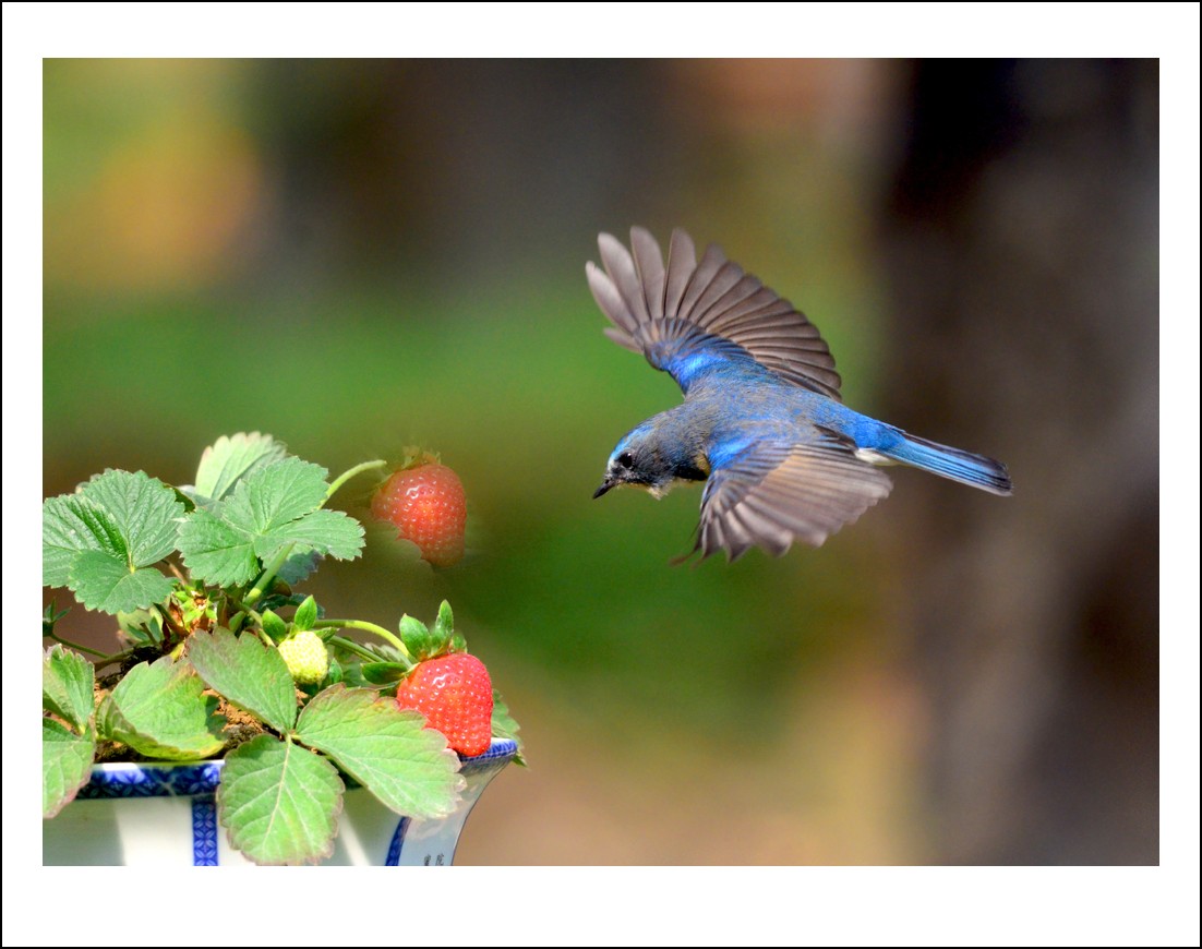 DSC_4322_conew1.jpg