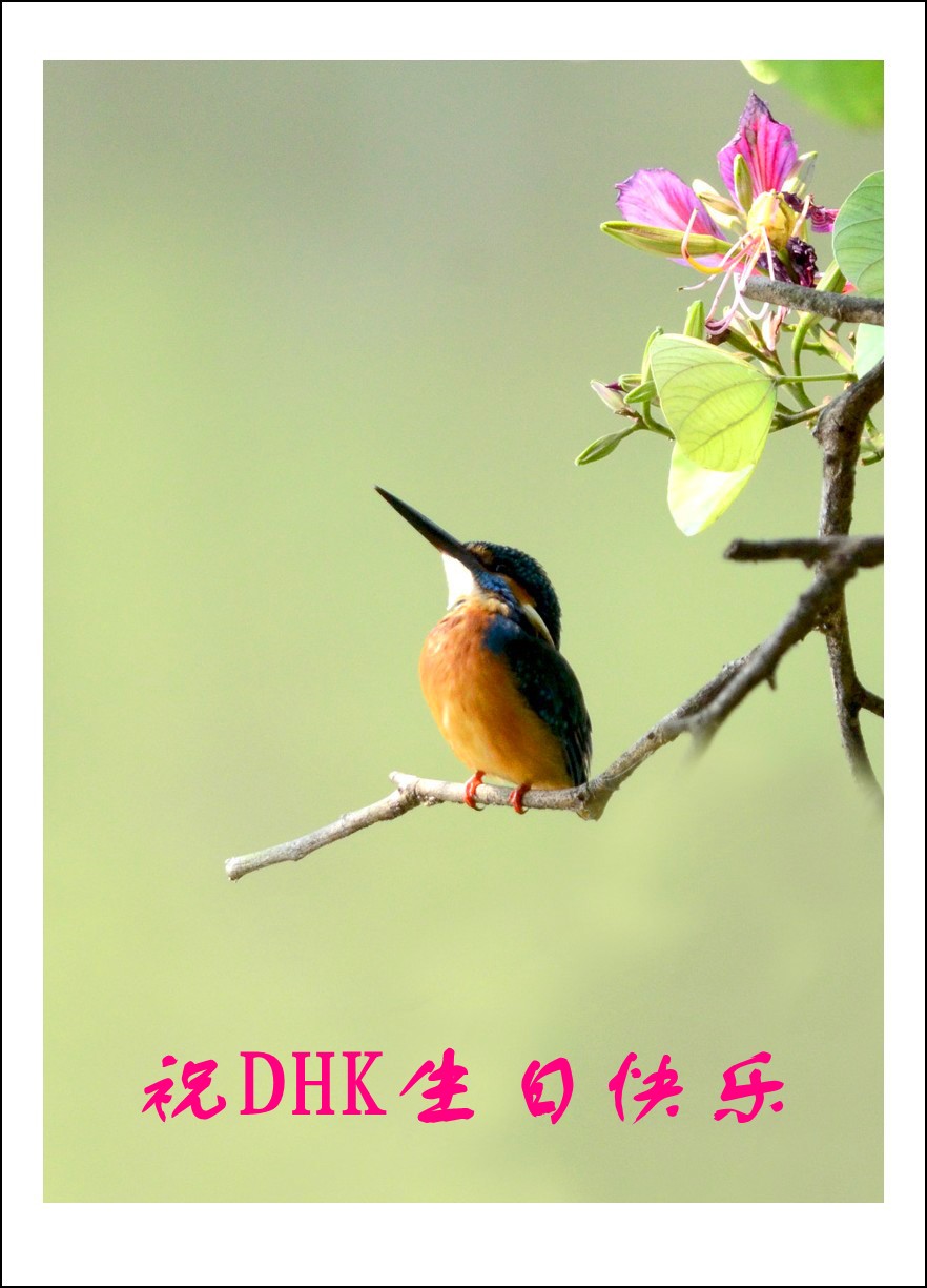 DSC_2871_conew2.jpg