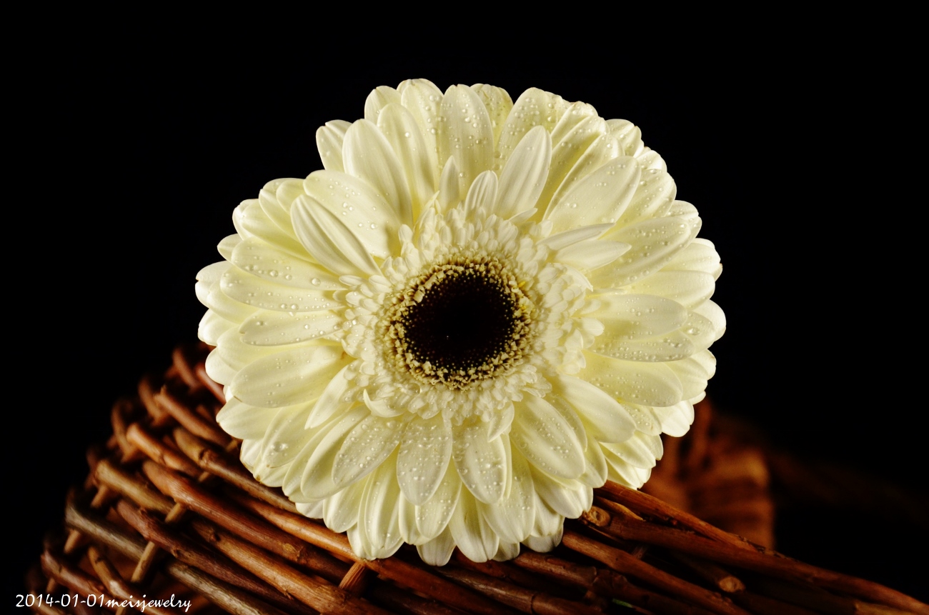 DSC_2400 (1300x861).jpg