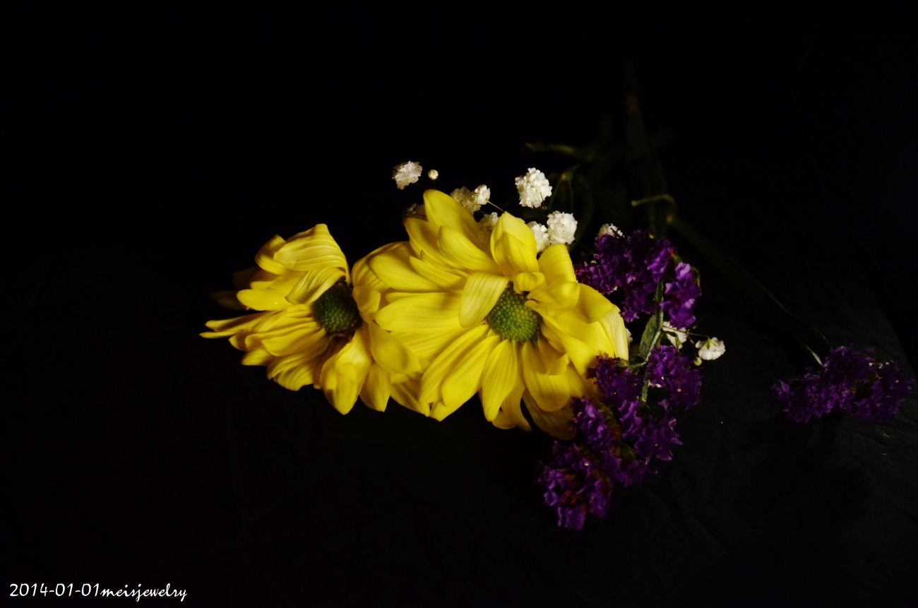 DSC_2364 (1300x861).jpg