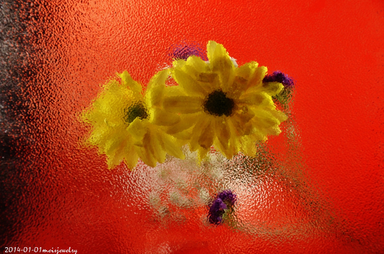 DSC_2322 (1300x861).jpg