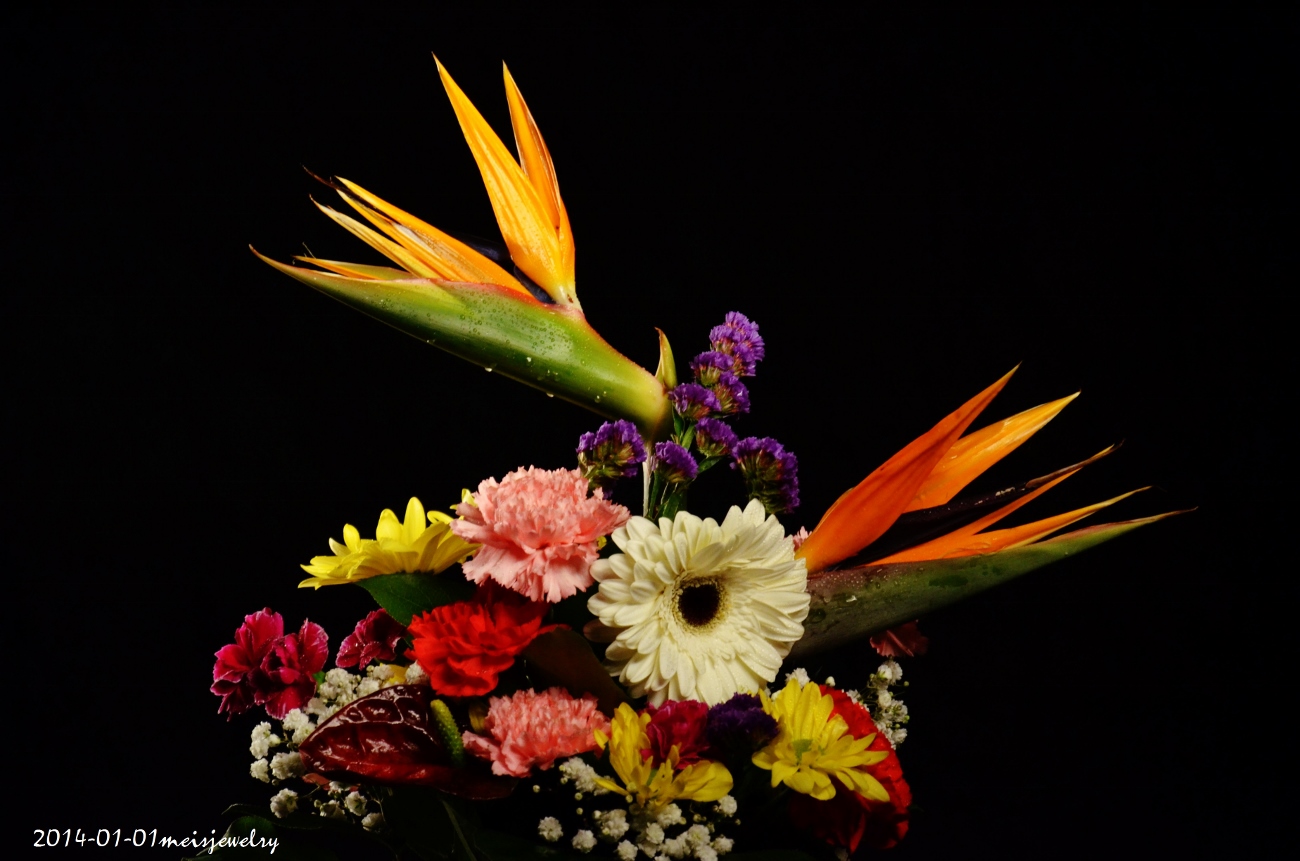 DSC_2265 (1300x861).jpg