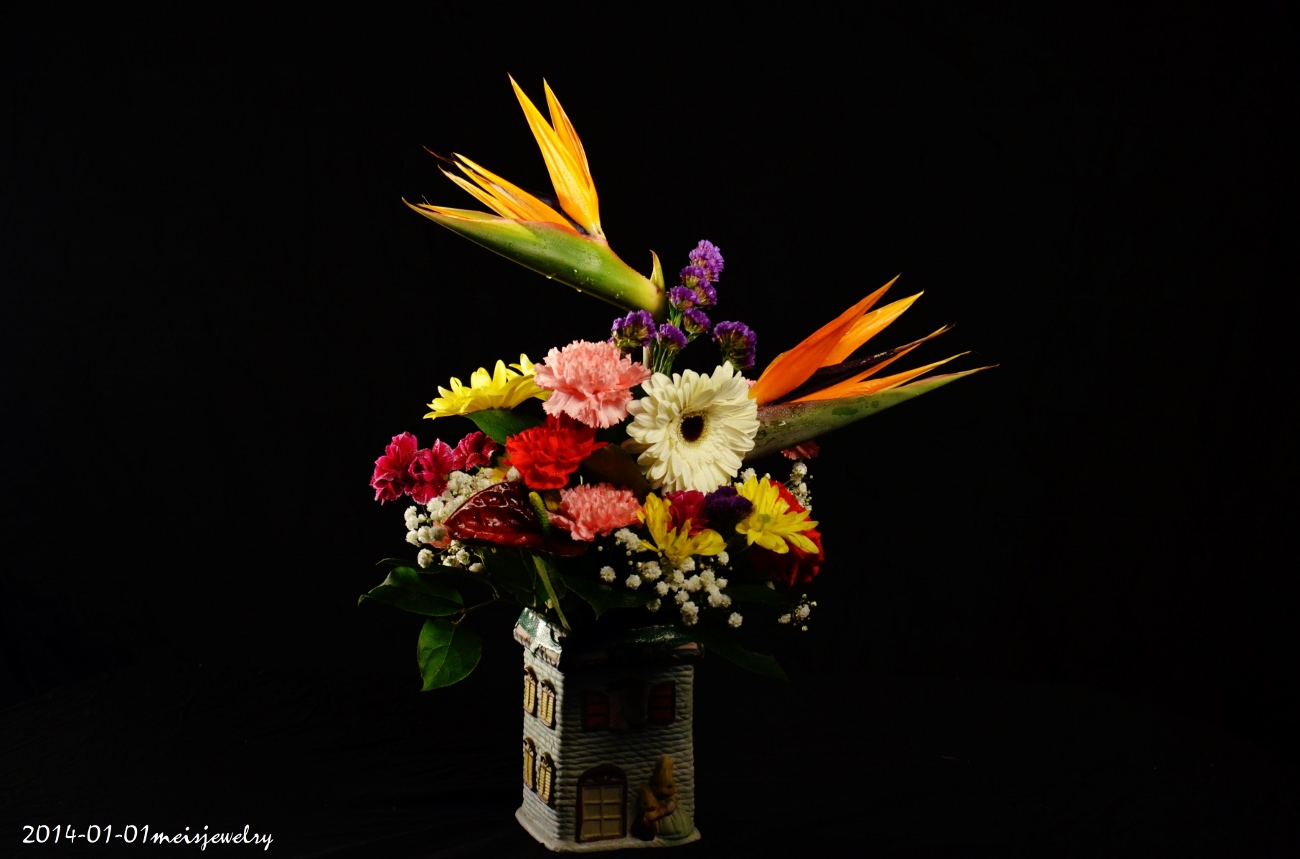 DSC_2260 (1300x859).jpg