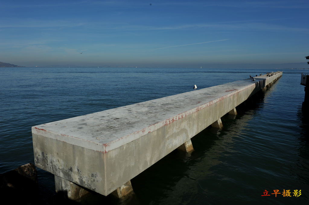 DSC_2179.jpg