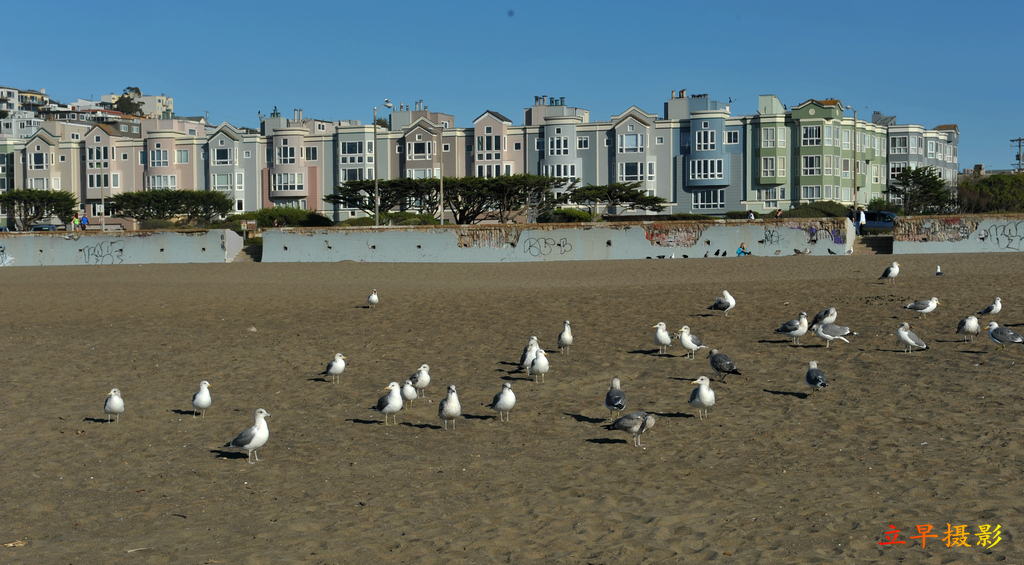 DSC_2111.jpg