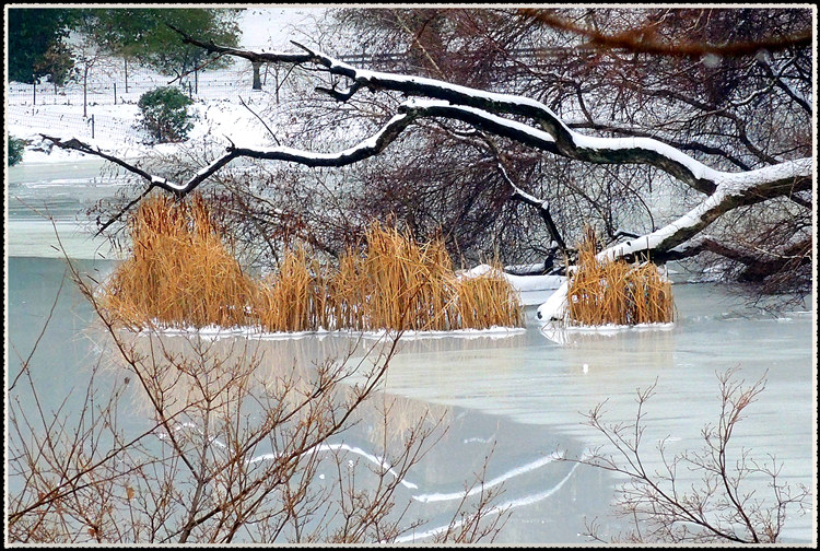 DSCN9229_����.jpg