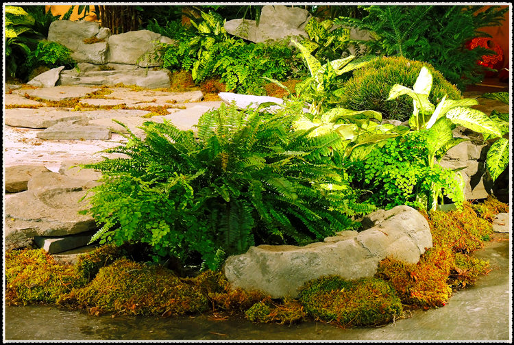 DSCN9154_����.jpg