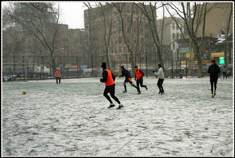 DSCN9390.jpg