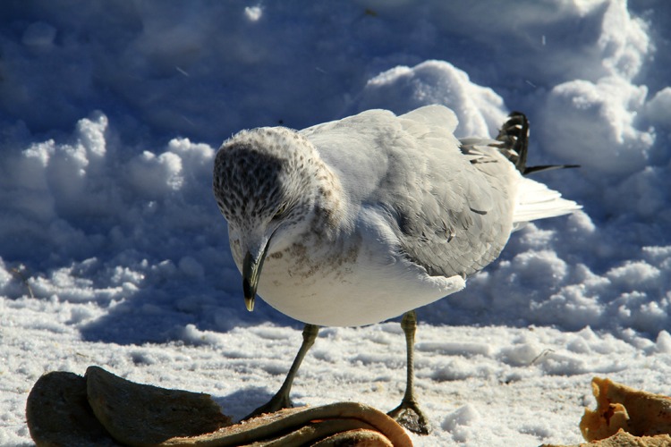 IMG_9160.jpg