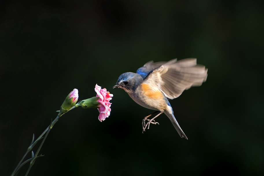 DSC_2284.jpg