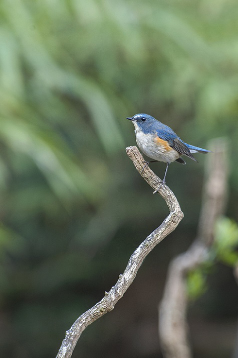 DSC_9935.jpg