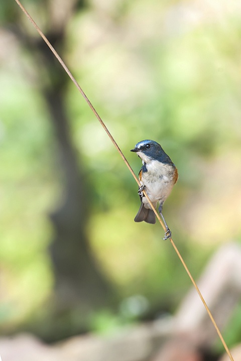 DSC_0097.jpg