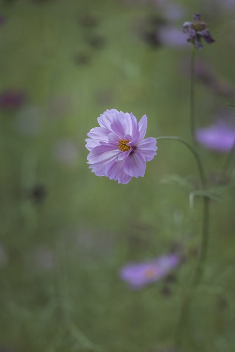DSC_3628.jpg