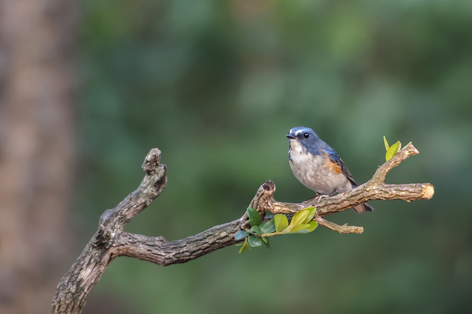 DSC_9224.jpg