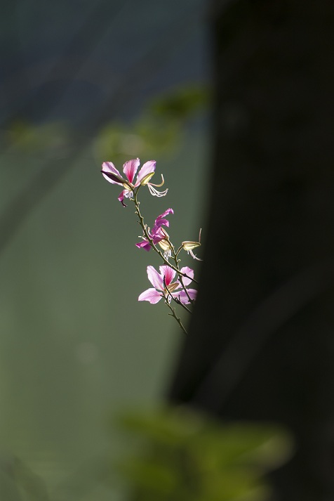 DSC_6642.jpg