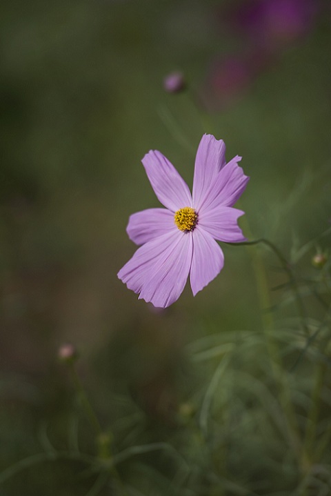 DSC_3609.jpg