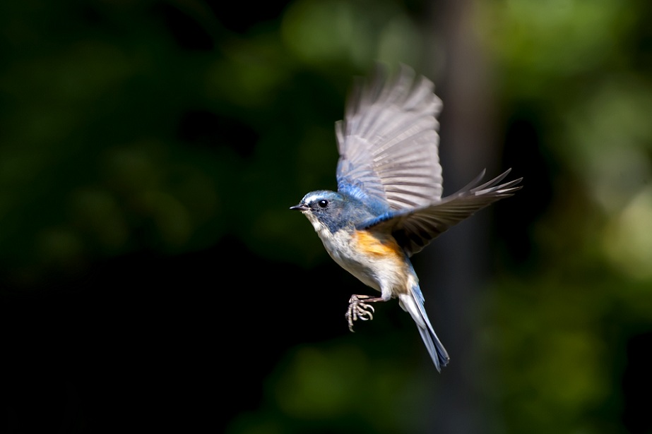 DSC_1687.jpg