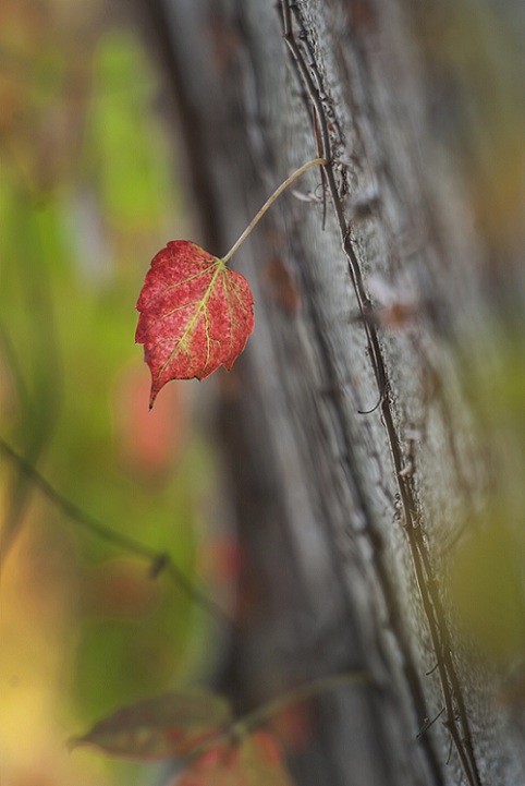 DSC_6941.jpg