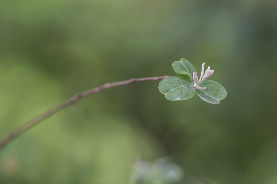 DSC_6473.jpg