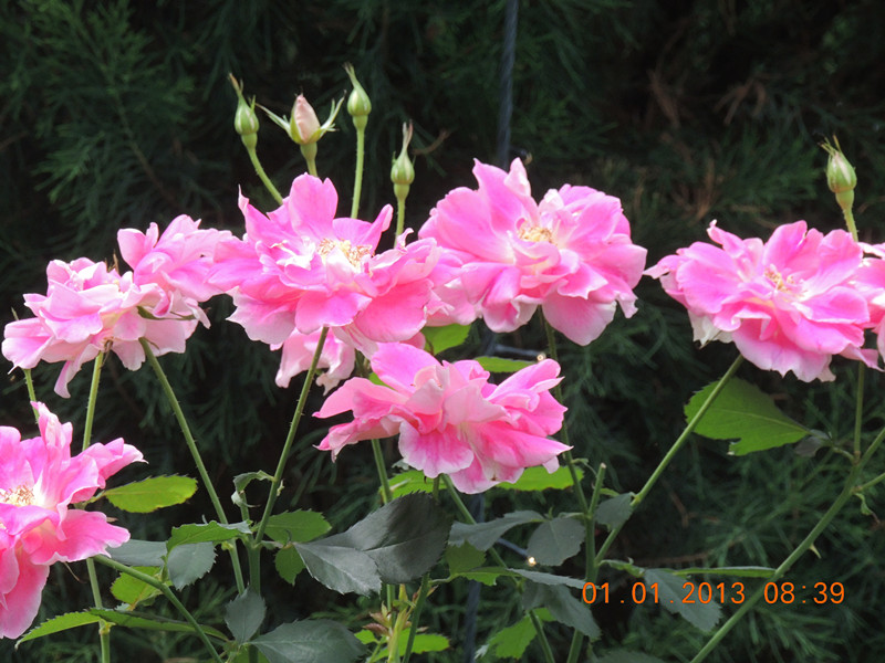 2013 vacation 643_.jpg