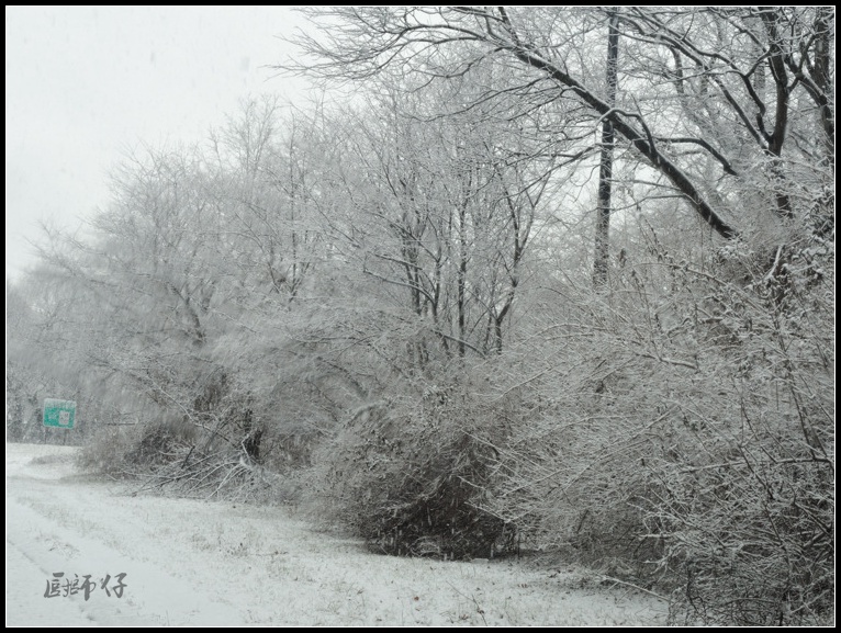 DSCN0889.jpg