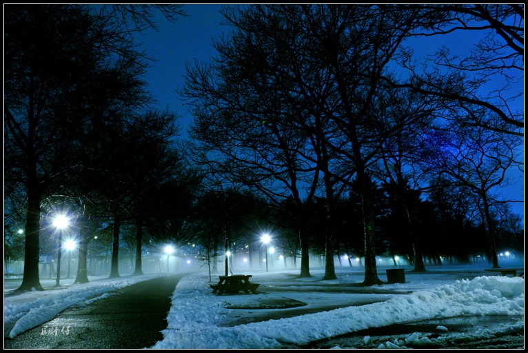 DSC_4174.jpg