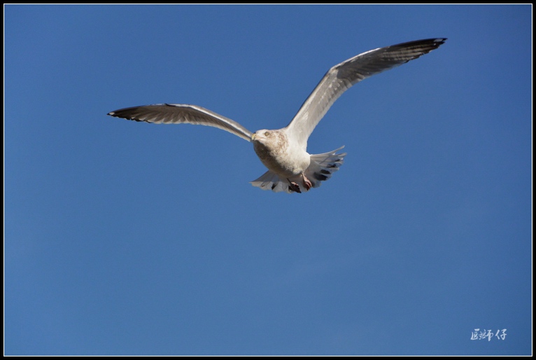 DSC_0110.jpg