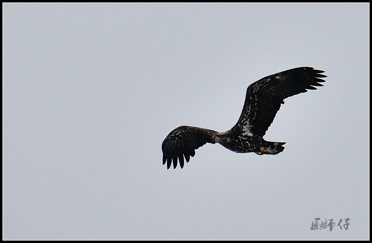 DSC_1804.jpg