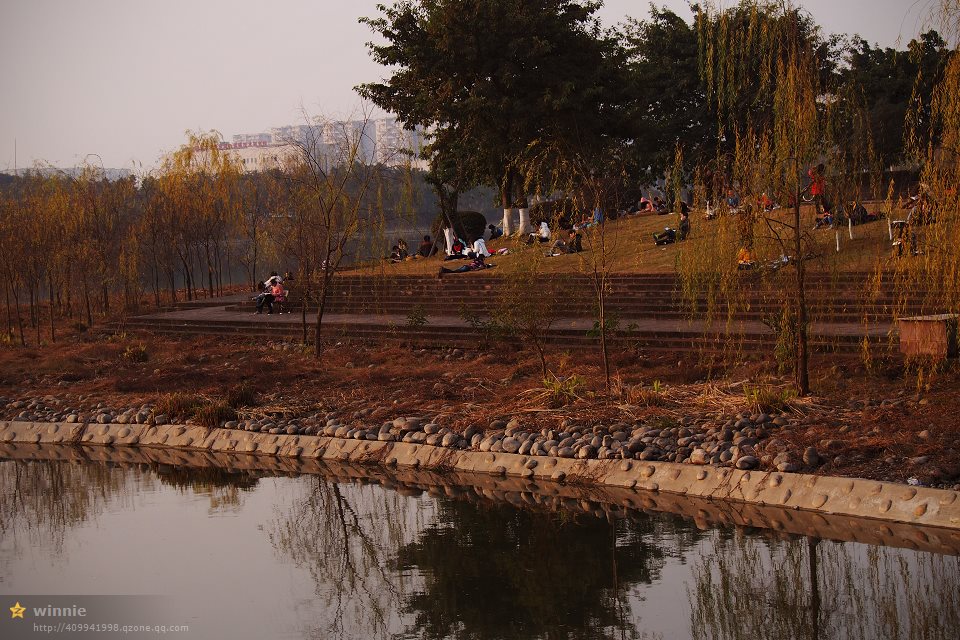 140.jpg