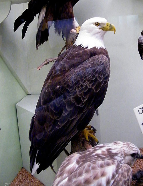 DSCF6902=.jpg