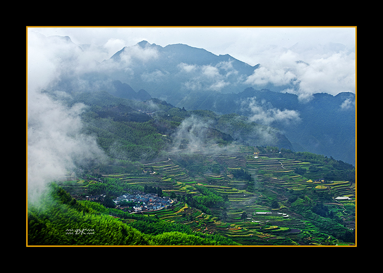 DSC_5388C1.jpg