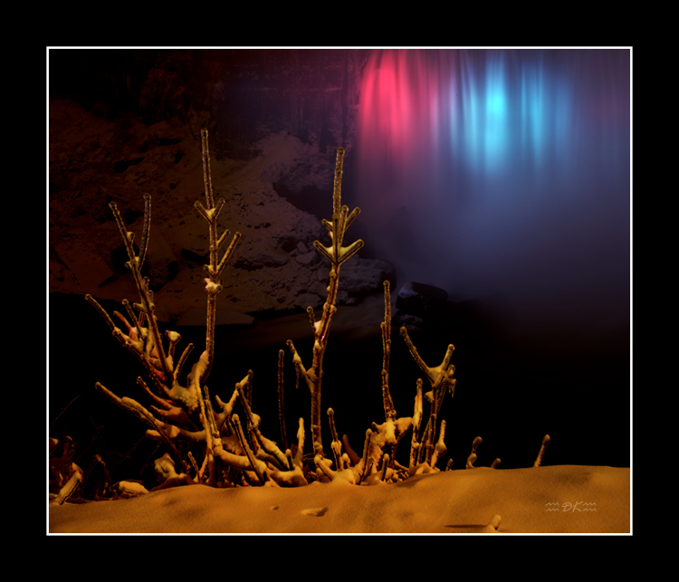 DSC_7480C.jpg