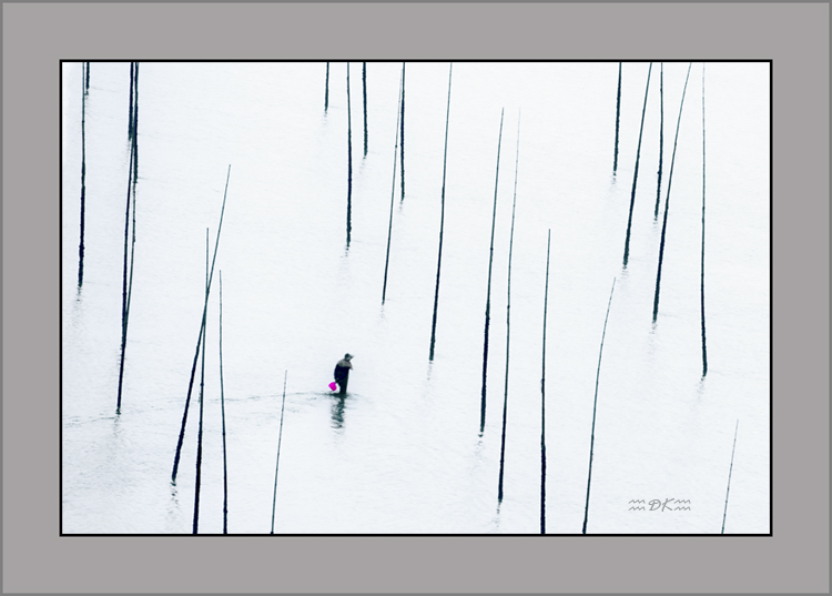 DSC_1241C.jpg