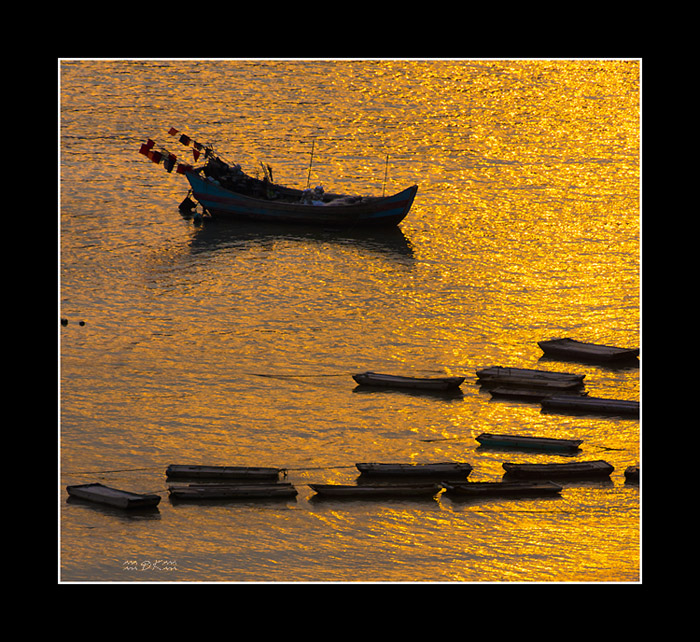 DSC_1176C1.jpg
