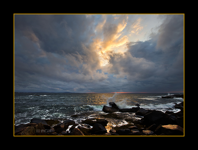 DSC_1619C.jpg
