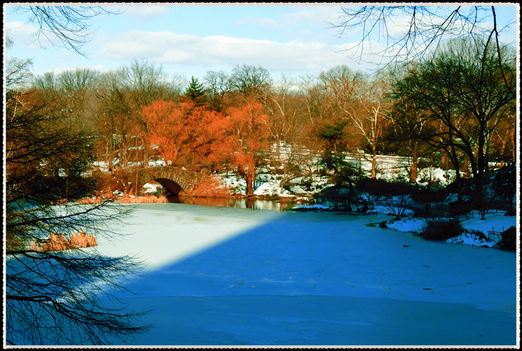 DSCN4553_����.jpg