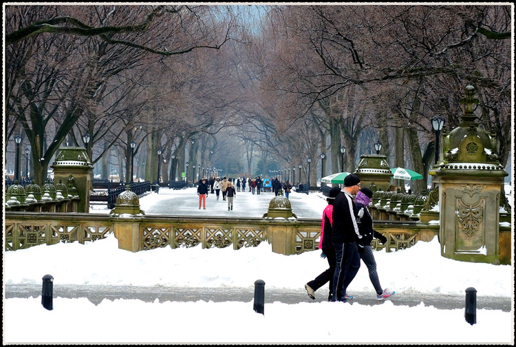 DSCN9195_����.jpg