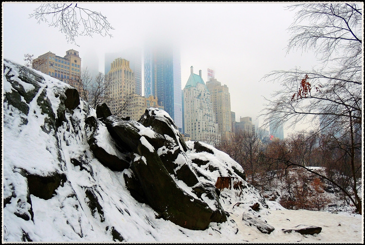 DSCN9236.jpg