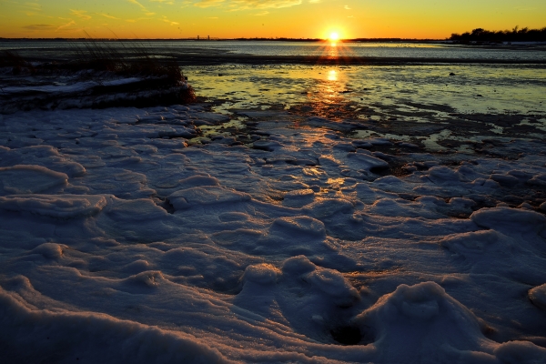 _DSC9548_01.JPG
