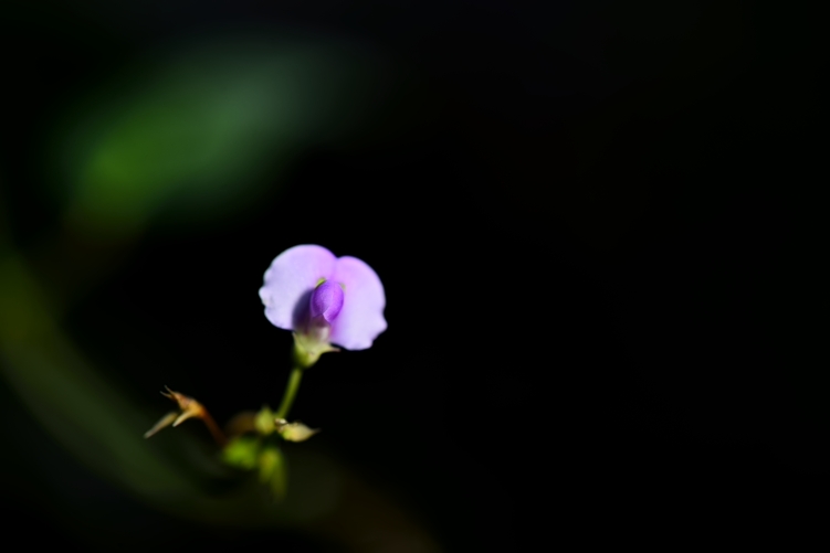 _DSC8977.JPG