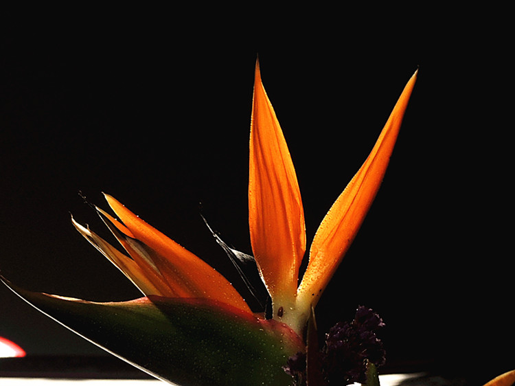 DSCN3471_����.jpg
