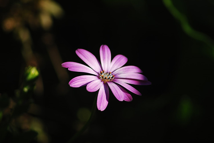DSC_0267_����.jpg