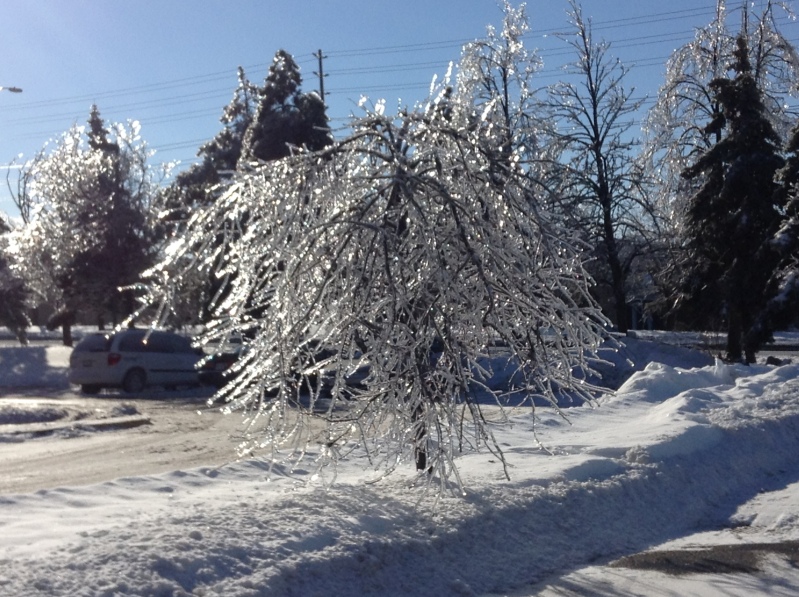 Toronto Ice Storm 2013-59.jpg