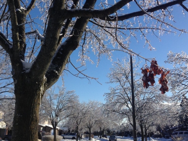 Toronto Ice Storm 2013-60.JPG