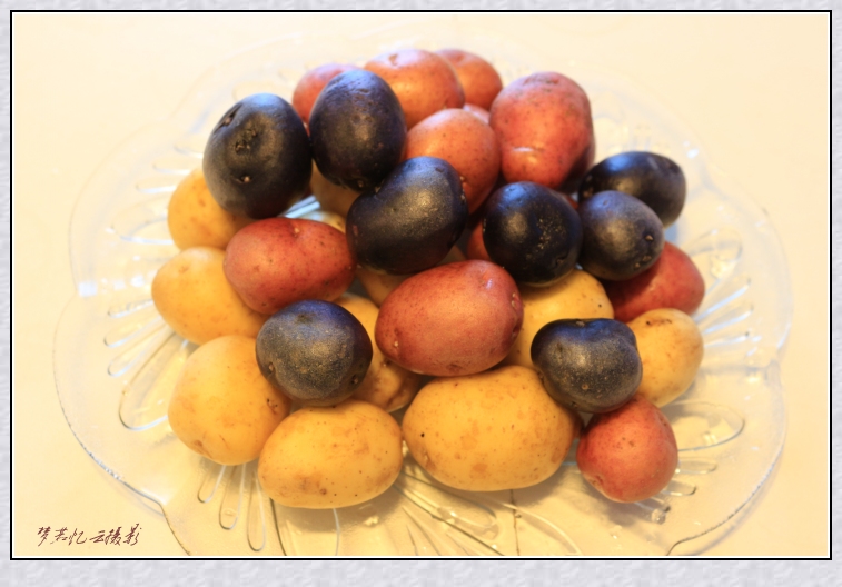 20140298 044_conew1.jpg