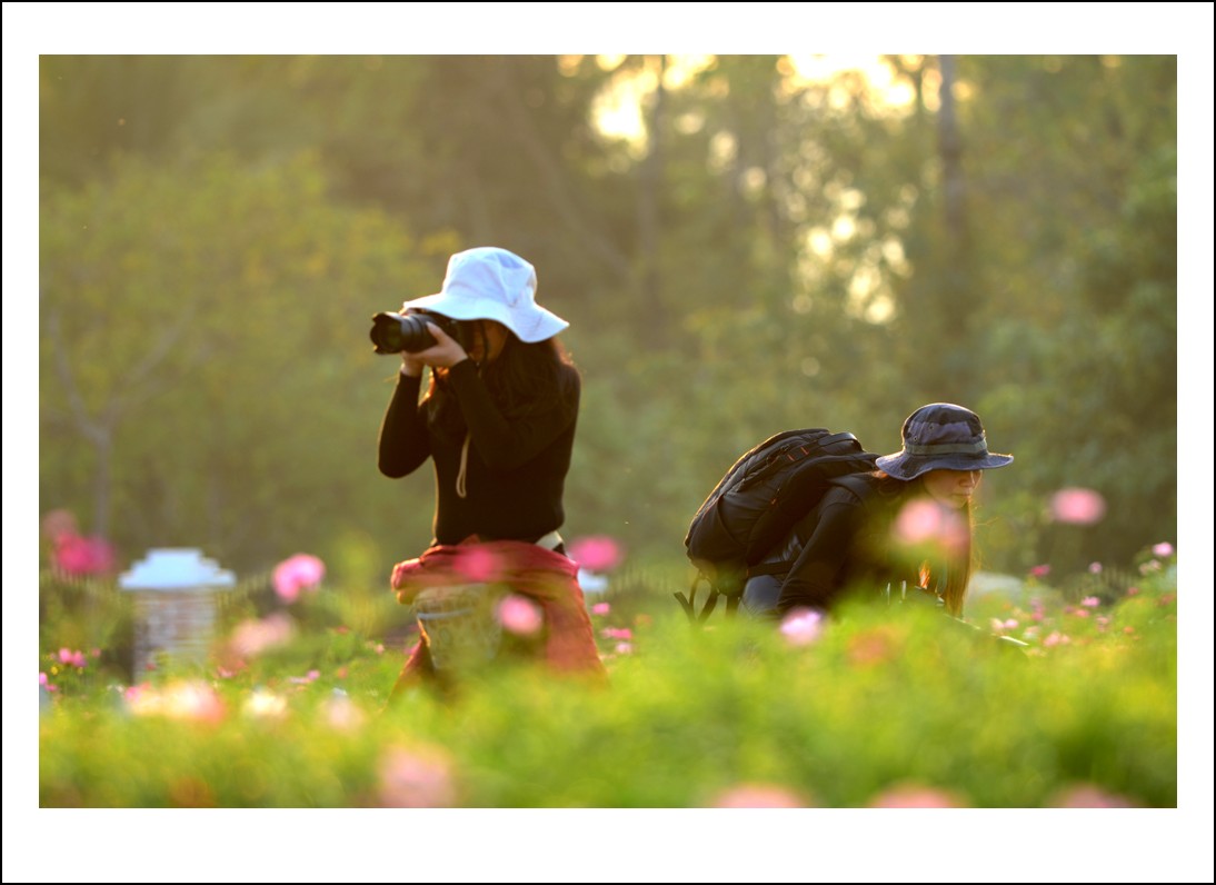 DSC_7465_conew1.jpg